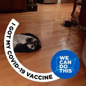 Meet your Posher, Violet